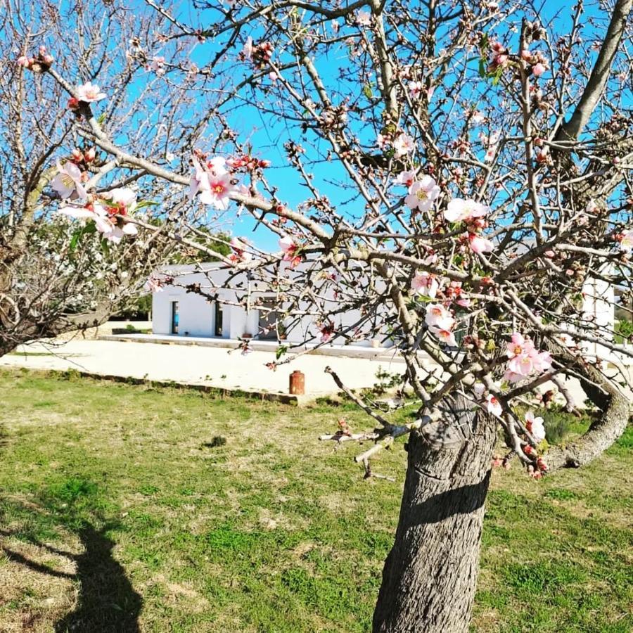 Casina Pompiliano Lägenhet Nardò Exteriör bild